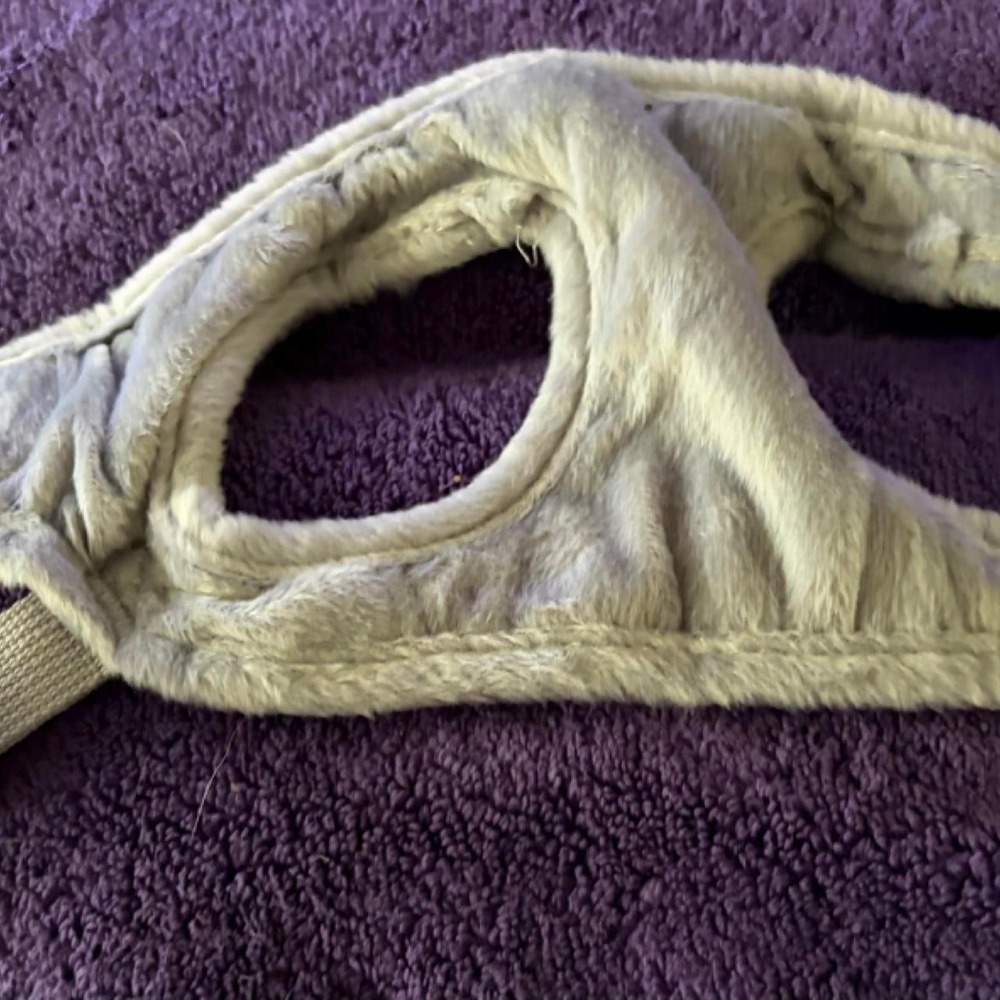 Dog harness